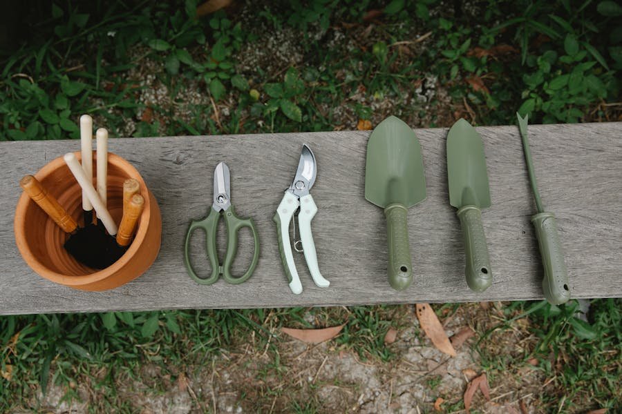 Basic and essential garden tools for everyone